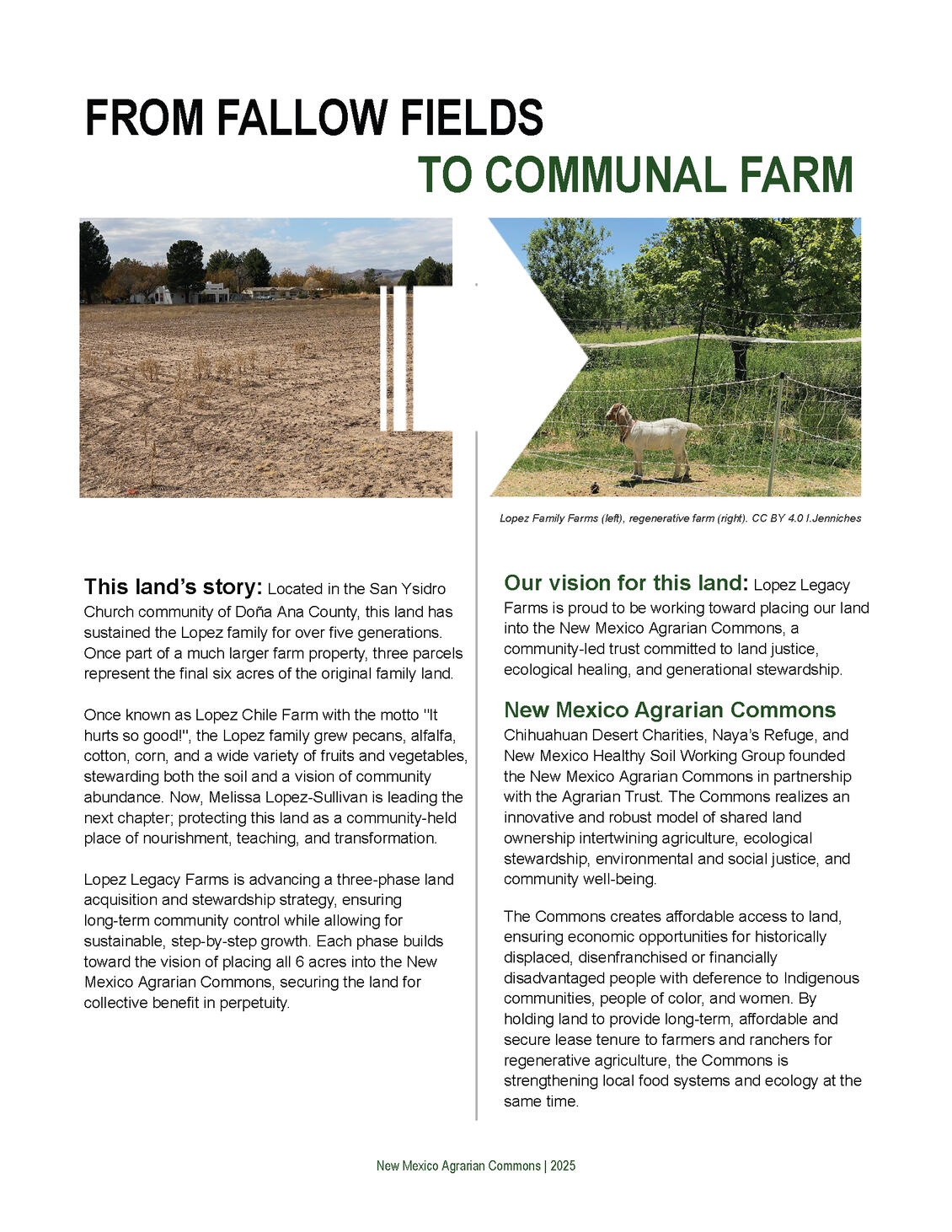 Learn About the Farm