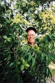 &quot;Grandpa Joe&quot; Joe Padilla Lopez, III